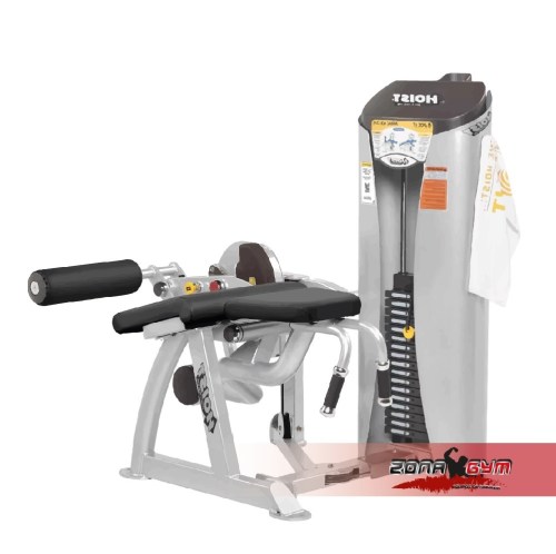 Femoral con placas  - HOIST